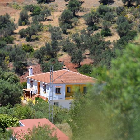 B&B Casa El Corasueno Almogía Exteriér fotografie